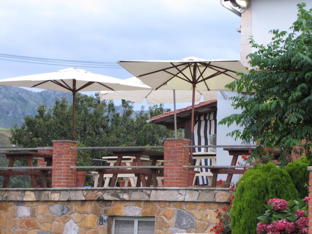 קיו Hotel Migal מראה חיצוני תמונה